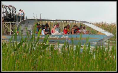 Everglades - Airboat
