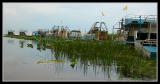 Everglades - Airboats