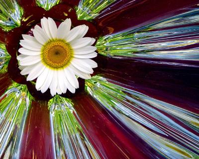 Daisy BeamsLinda L