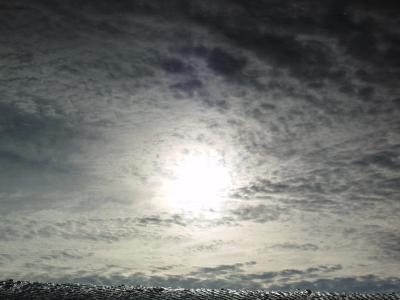 Reflected Sunby Amadeus