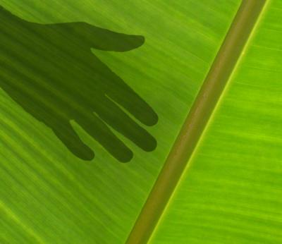 Palm Readingby kudbegud