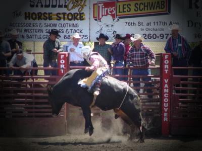 Ride 'em Cowboy* by Terry Runge-Erle