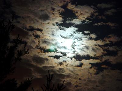 New Jersey Moonlight*by Michael Buckman
