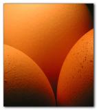 4th Place: <FONT size=2><B>Eggrotic Curves</B></font><BR><FONT size=1>by El-See</FONT>