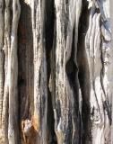 <p align=center> <b> Shipwreck</b> <br> <font size=1> by Bishopsmead</font> </p>