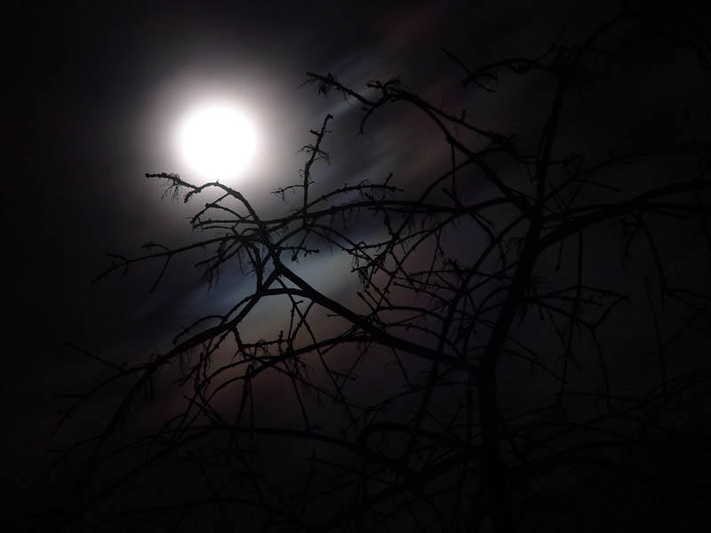 Creepy Moon<br>by Klaus Wiese