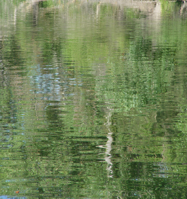 Log Reflection*<br><font size=1>by JoseNoway</font>