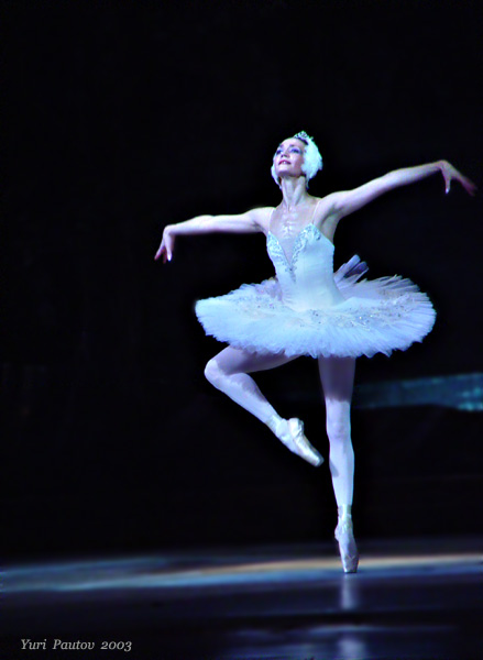 Swan in the moon light*<br><i><font size=-1> by Yuri Pautov</font></i>