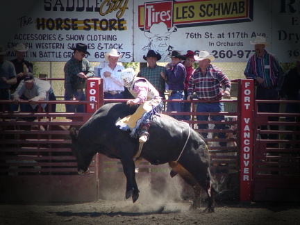 Ride em Cowboy* by Terry Runge-Erle