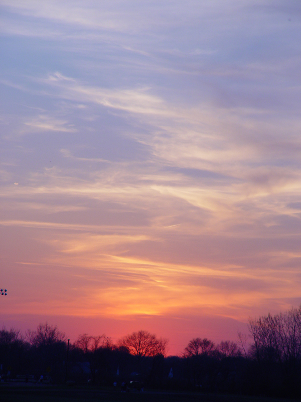<b>Park Sunset</b><br><font size=1>by Ray Vinciguerro</font>
