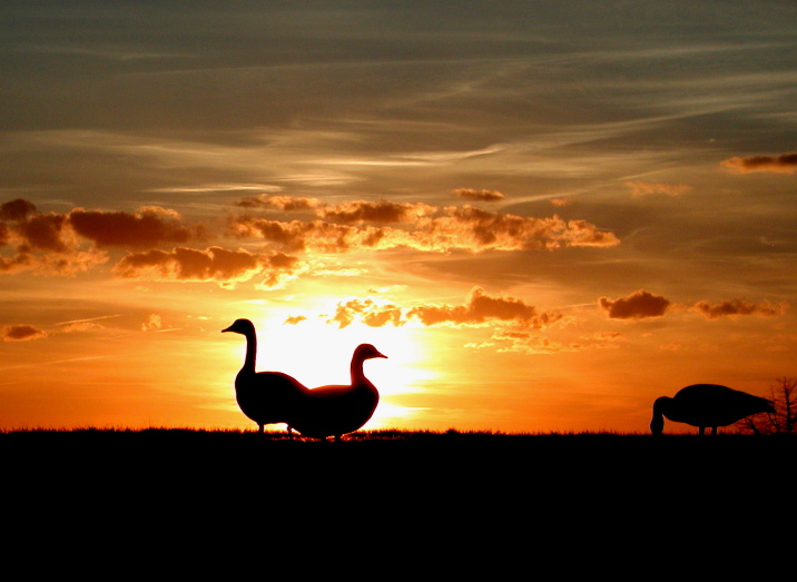 <b>10th</b><br> Keeping Watch <br>by El-See