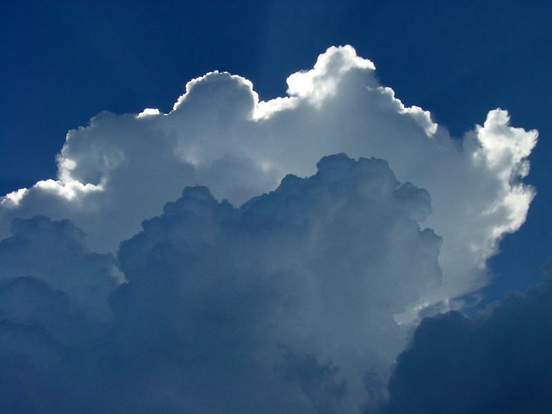 <p align=center> <b> White Clouds </b> <br> <font size=1> by Helen Betts </font> </p>