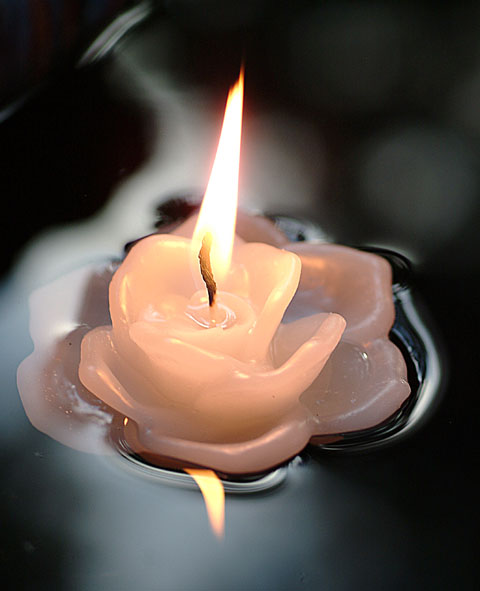 <b>Fire & Water</b><br>by Faye White
