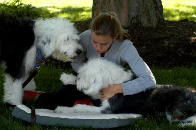 Lauren's Fuzzy Friends