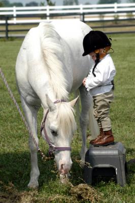 u30/susanlang/medium/18549941.HorseShow62803098copy.jpg
