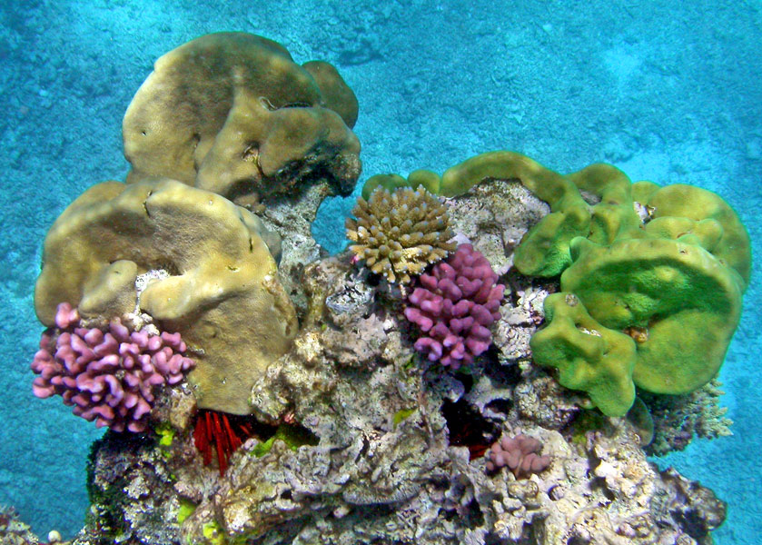 DSCN6207.jpg