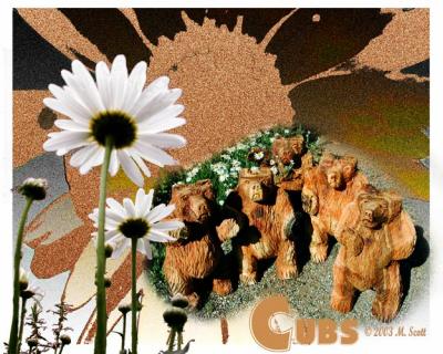Cubs in the Daisies