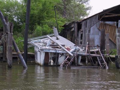 On the bayou again.