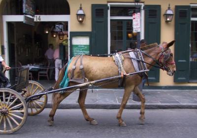 One Horsepower.