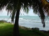 Palm View  to Palomino Island