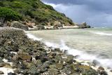 Shoreline Motion
