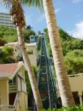 Funicular Between the Palms