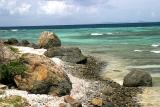 Shoreline