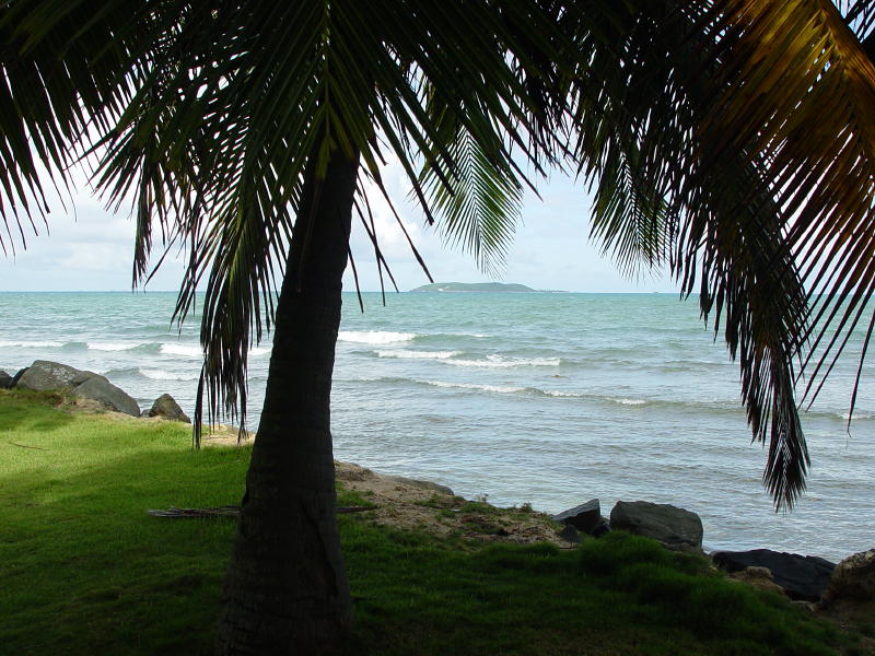 Palm View  to Palomino Island