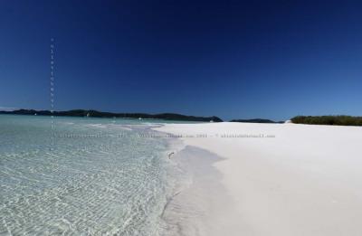 paradise !!!  Whitehaven beach  Whitsunday Islands QLD
