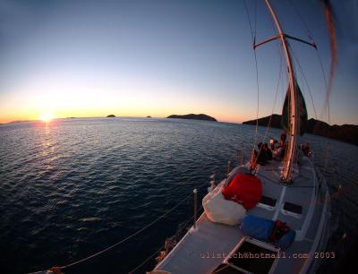 Iceberg   Whitsunday Islands QLD