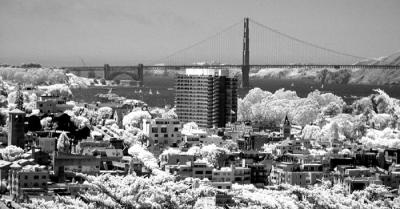 Goldern Gate Infrared