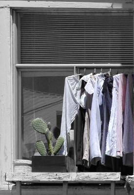 Laundry & Cactus