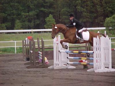 u30/wendywds/medium/18518301.Sue3_sj.jpg