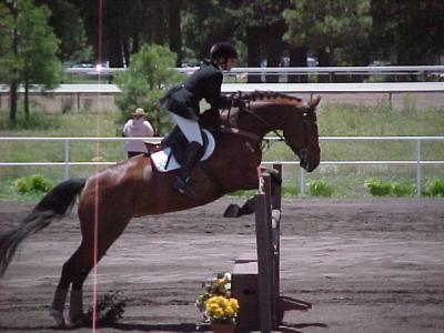 u30/wendywds/medium/18518330.training1_sj.jpg