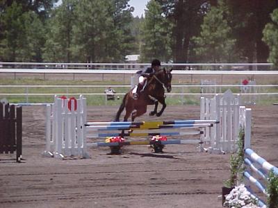 u30/wendywds/medium/18518333.training4_sj.jpg