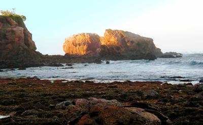 CRW_0956-copy.jpg