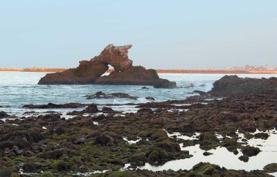 CRW_0952-copy.jpg