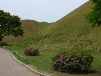 Tumuli in Daereungwon Tomb Park