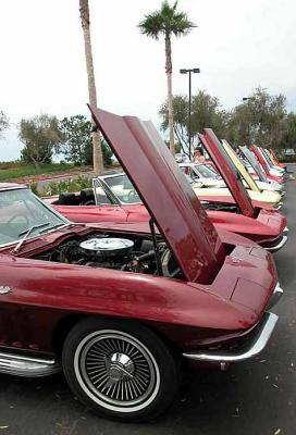 Taken at Mid years Corvette club monthly meeting at Crystal Cove