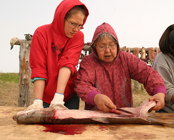 Learning to cut fish