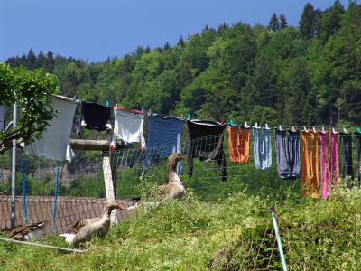 Wschetag auf dem Bauernhof