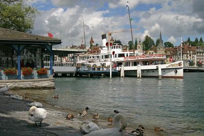 Luzerner Seebecken mit Dampfschiff