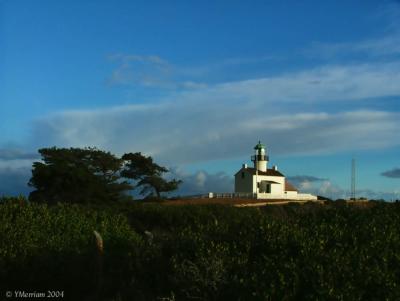Old Lighthouse I