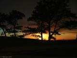 Point Loma Silhouettes