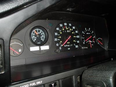 P9060253 (Medium).JPG