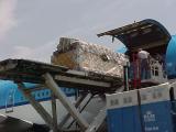 Unloading from KLM Cargo Jet at LAX