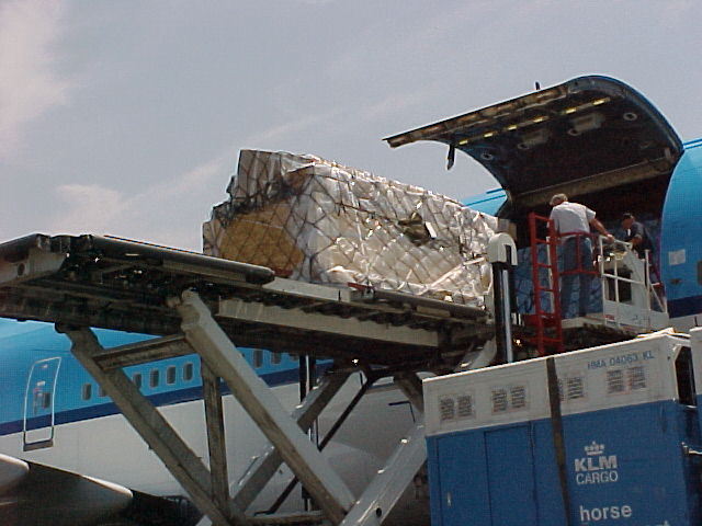 Unloading from KLM Cargo Jet at LAX