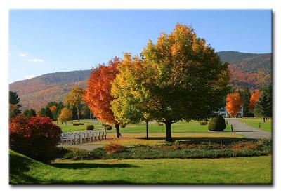 New Hampshire Foliage 2003