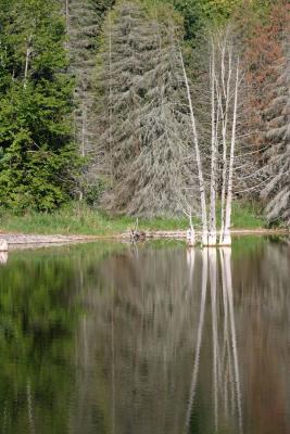 IMG_5454.jpg