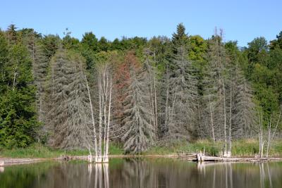IMG_5456.jpg